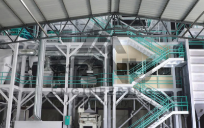 Untitled design (15)