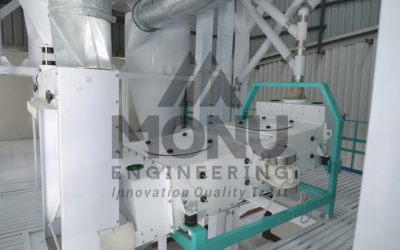 Untitled design (17)