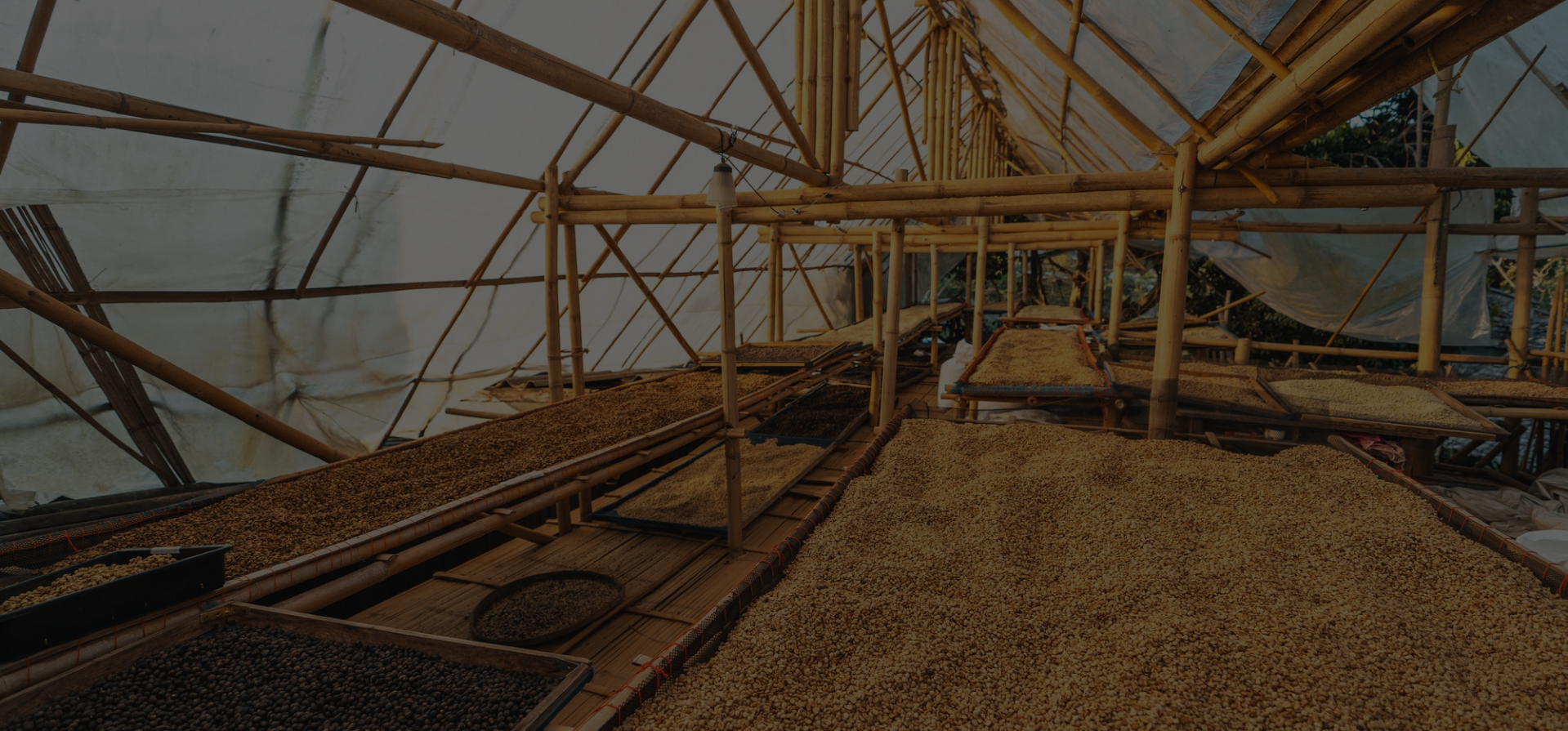 Untitled design – 2025-08-04T112923.791