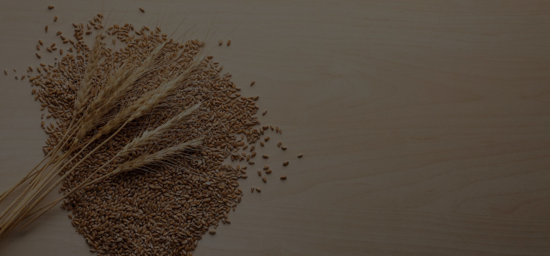 Untitled design – 2025-08-04T113146.514