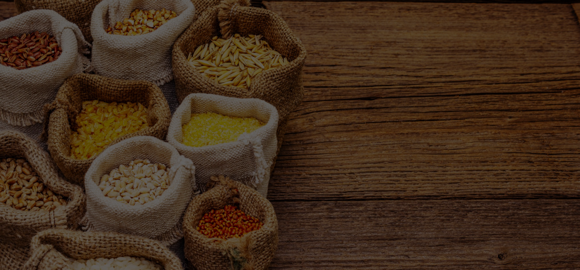 Untitled design – 2025-08-04T113259.873