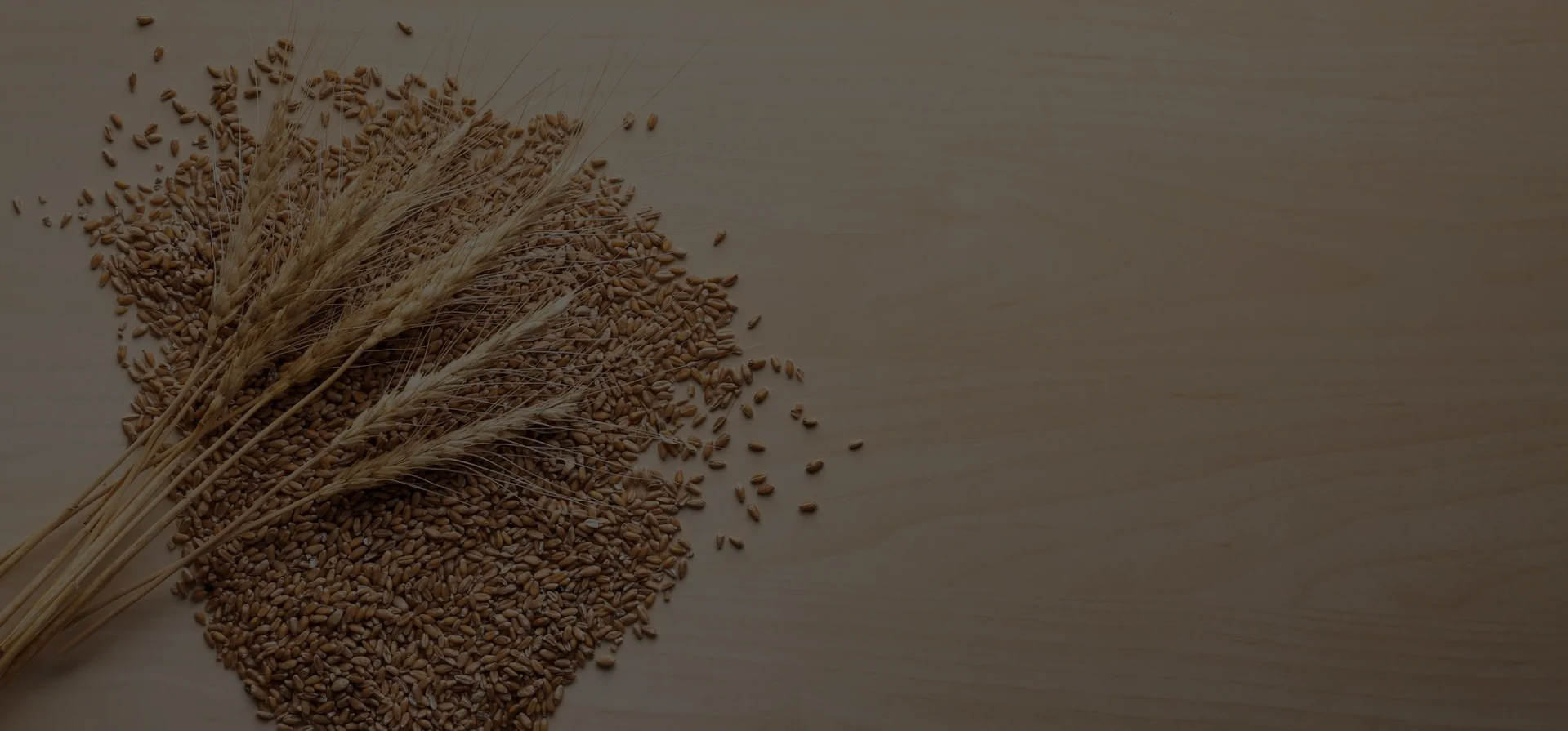 Untitled-design-2025-08-04T113146.514