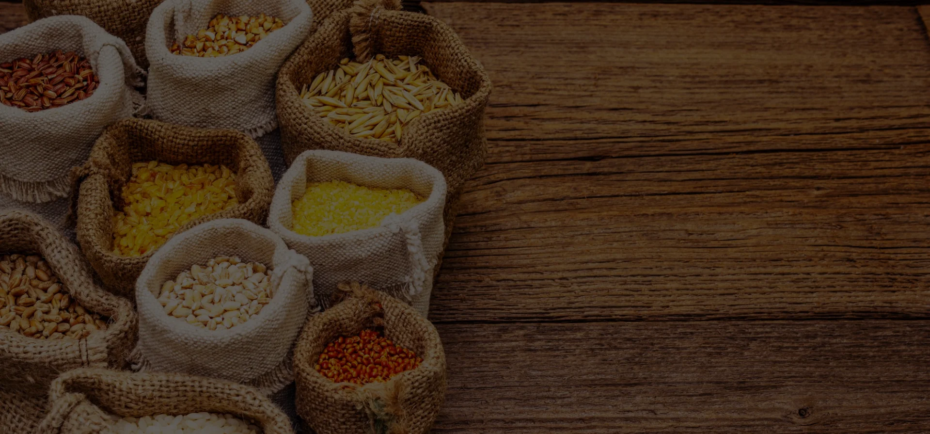 Untitled-design-2025-08-04T113259.873